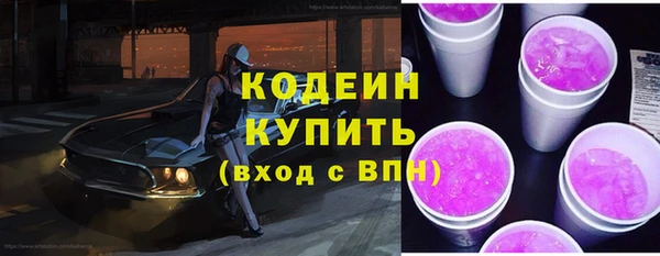 прущий лед Алзамай