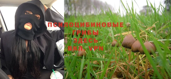 спайс Абдулино