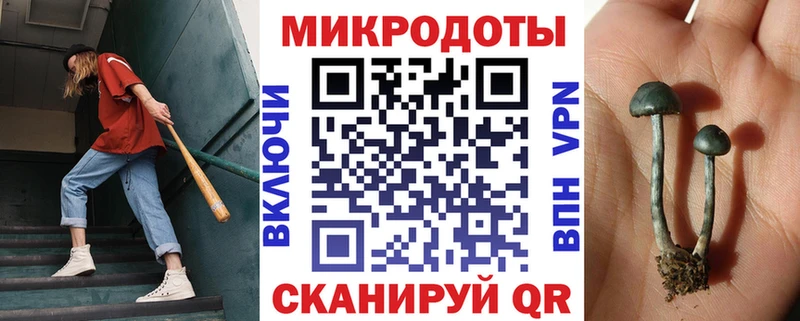 hydra ссылки  Абинск  Псилоцибиновые грибы ЛСД 